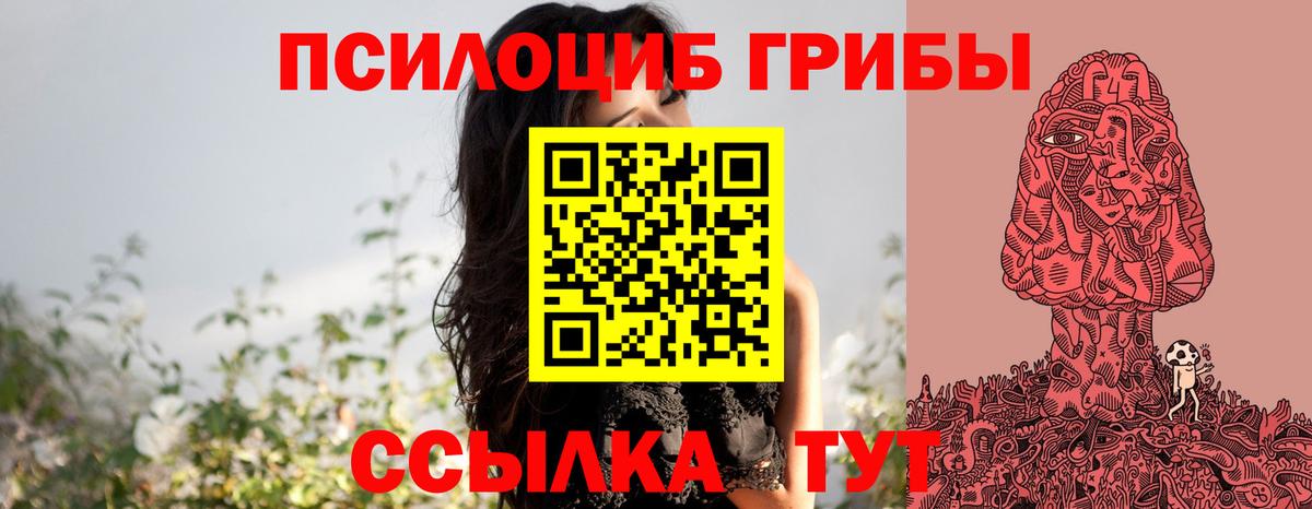 Псилоцибиновые грибы Cubensis Сухой Лог